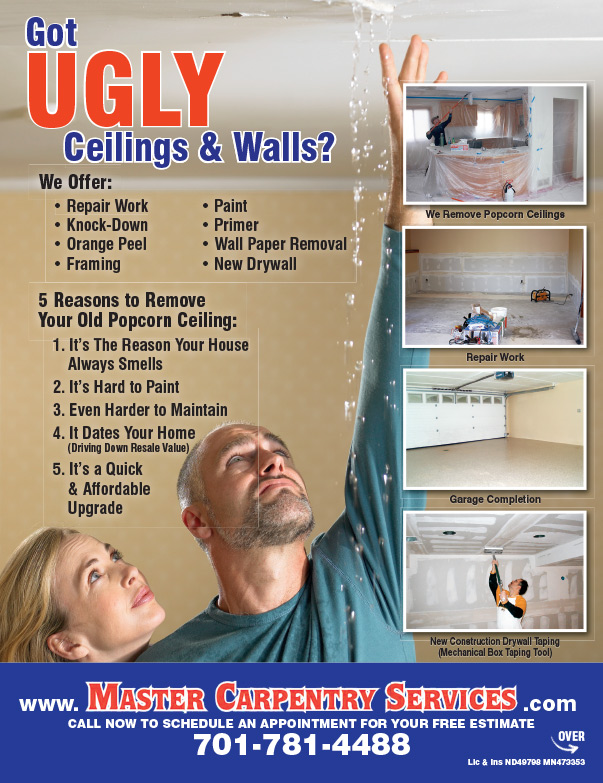 Master Carpentry Services We-Prints Plus Newspaper Insert by Any Door Marketing