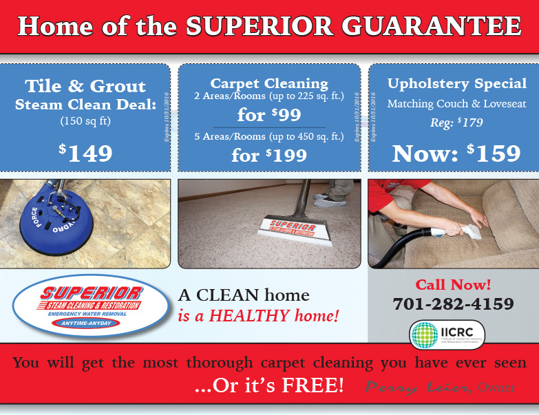 Superior Steam Cleaning and Restoration We-Prints Plus Newspaper Insert by Any Door Marketing