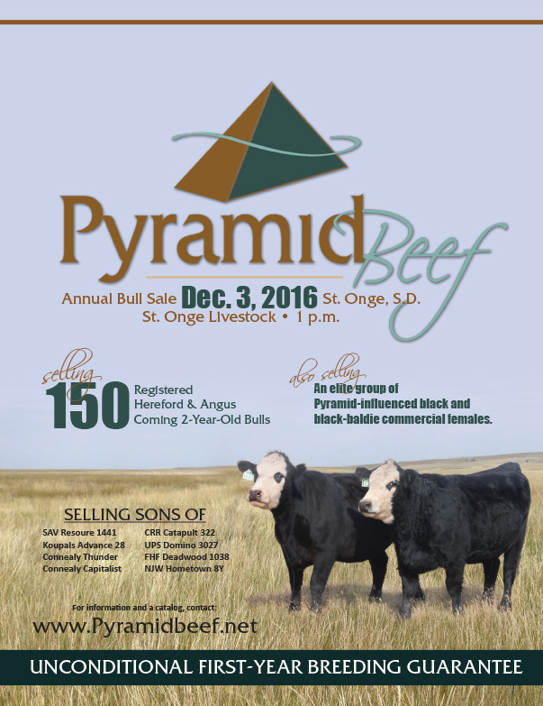 Pyramid Beef We-Prints Plus Newspaper Insert by Any Door Marketing