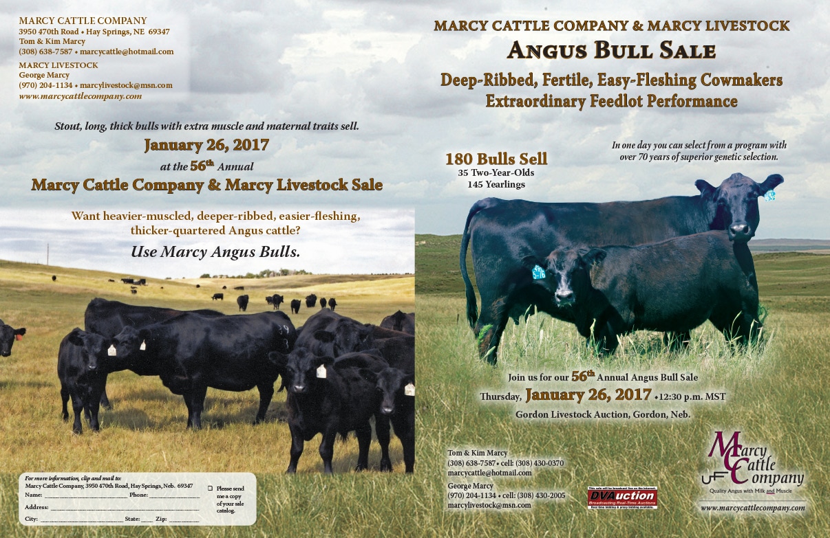 Marcy Cattle Company We-Prints Plus Newspaper Insert by Any Door Marketing