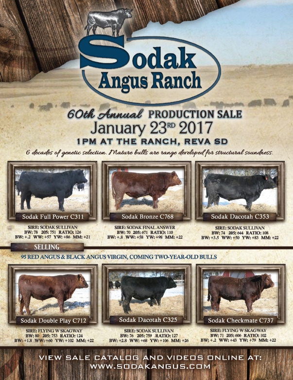 Sodak Angus Ranch We-Prints Plus Newspaper Insert by Any Door Marketing