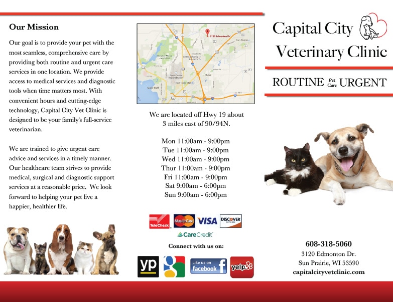 Capital City Veterinary Clinic We-Prints Plus Newspaper Insert by Any Door Marketing