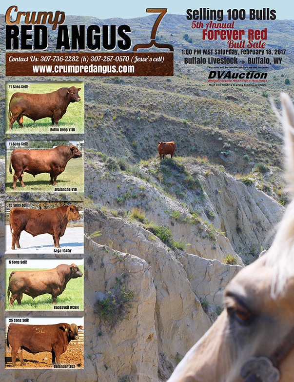 Camp Red Angus We-Prints Plus Newspaper Insert by Any Door Marketing