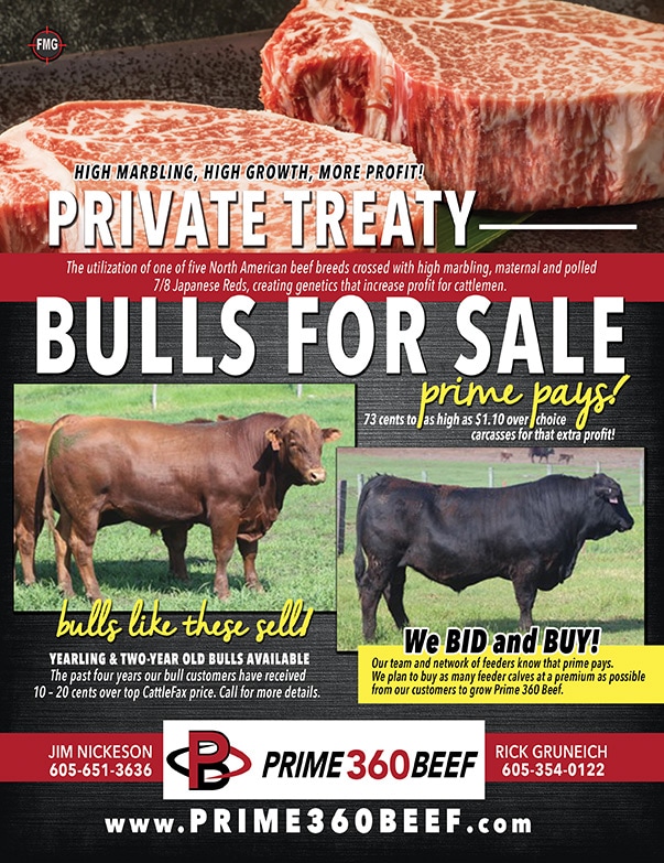 Prime 360 Beef We-Prints Plus Newspaper Insert by Any Door Marketing