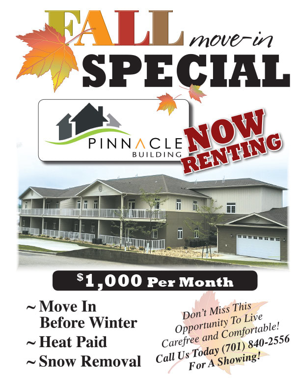 Pinnacle Building We-Prints Plus Newspaper Insert by Any Door Marketing