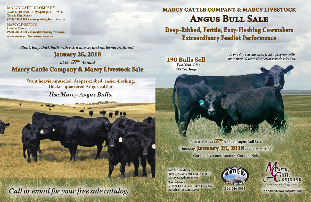 Marcy Cattle Company We-Prints Plus Newspaper Insert printed by Any Door Marketing