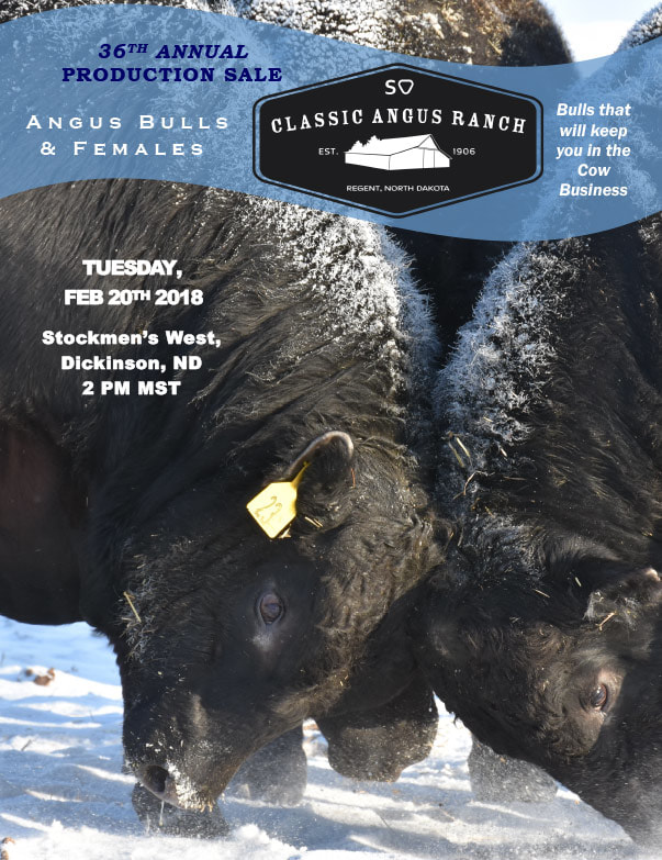 Classic Angus Ranch We-Prints Plus Newspaper Insert brought to you by Any Door Marketing