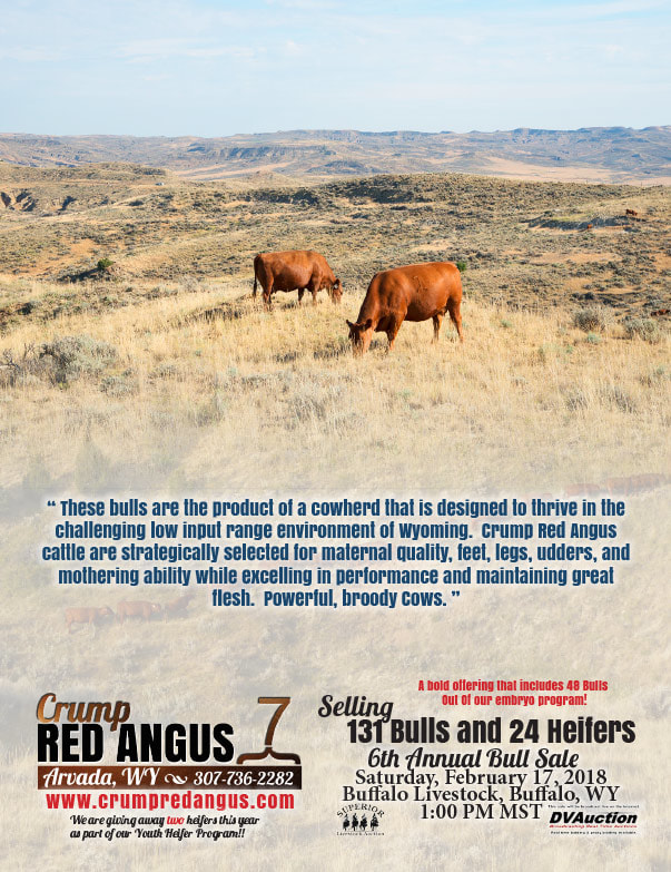 Crump Red Angus We-Prints Plus Newspaper Insert brought to you by Any Door Marketing