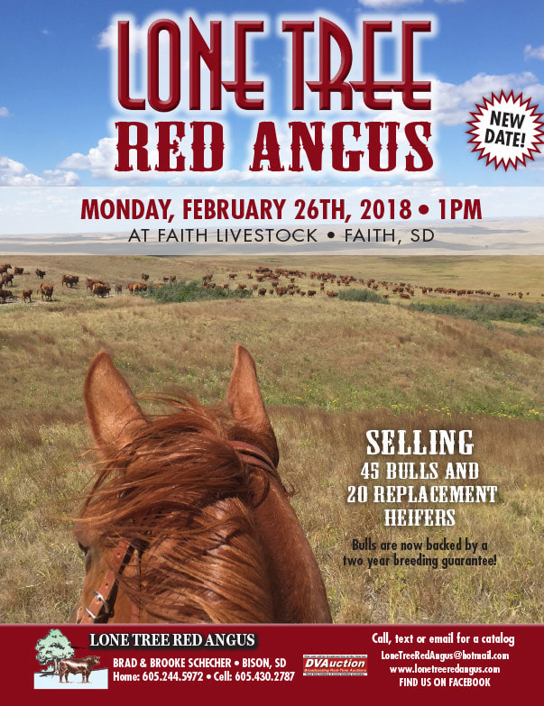 Lone Tree Red Angus We-Prints Plus Newspaper Insert brought to you by Any Door Marketing
