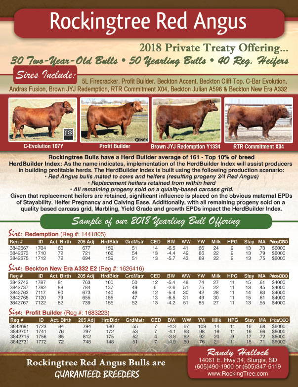 Rockingtree Red Angus We-Prints Plus Newspaper Insert brought to you by Any Door Marketing