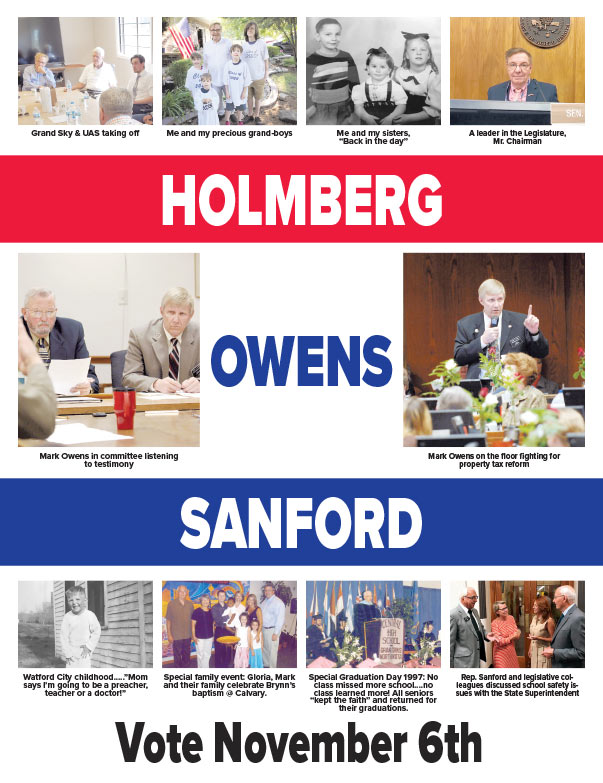 Vote Holmberg Owens Sanford We-Prints Plus Newspaper Insert printed through Any Door Marketing
