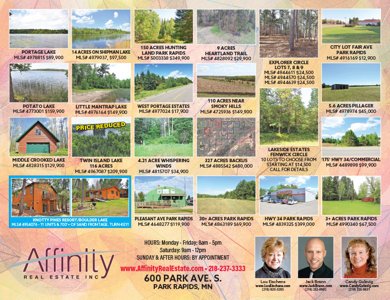 Affinity Real Estate We-Prints Plus Newspaper Insert printed by Any Door Marketing