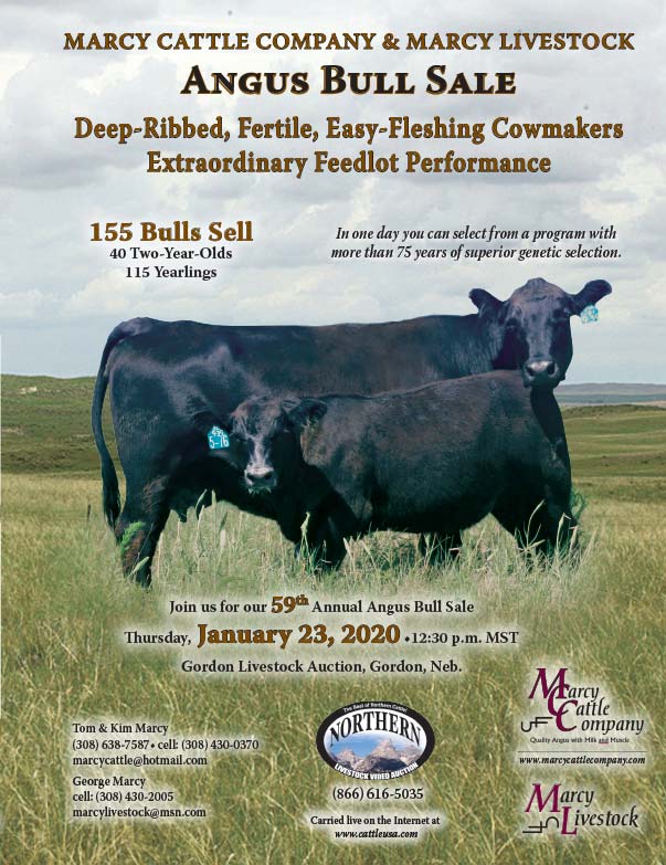 Marcy Cattle Company We-Prints Plus Newspaper Insert Printed at Forum Communications Printing