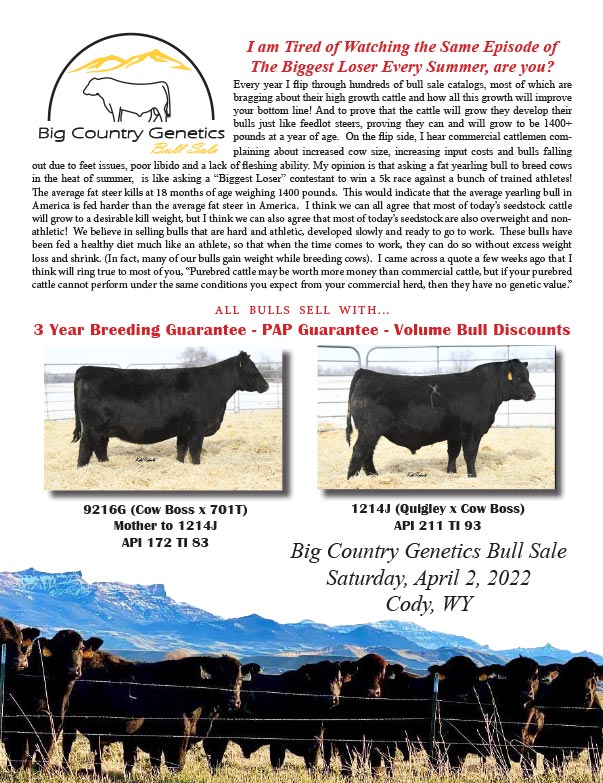 Big Country Genetics Bull Sales We-Prints Plus Newspaper Insert